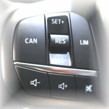 E-Cruise CAN P&P Ford Fiesta man. gear 2017- OE Limiter wird zum Tempomat aufgerüstet-