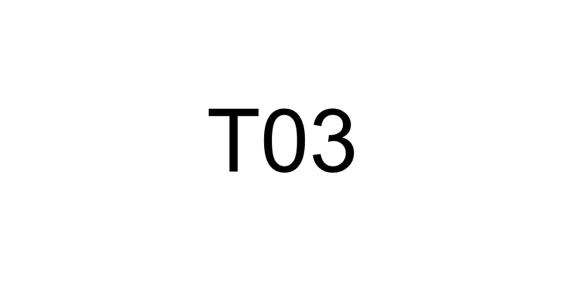 T03